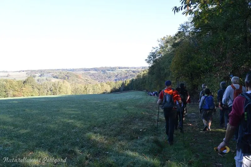 trail-rando-gorges-auvezere (1)