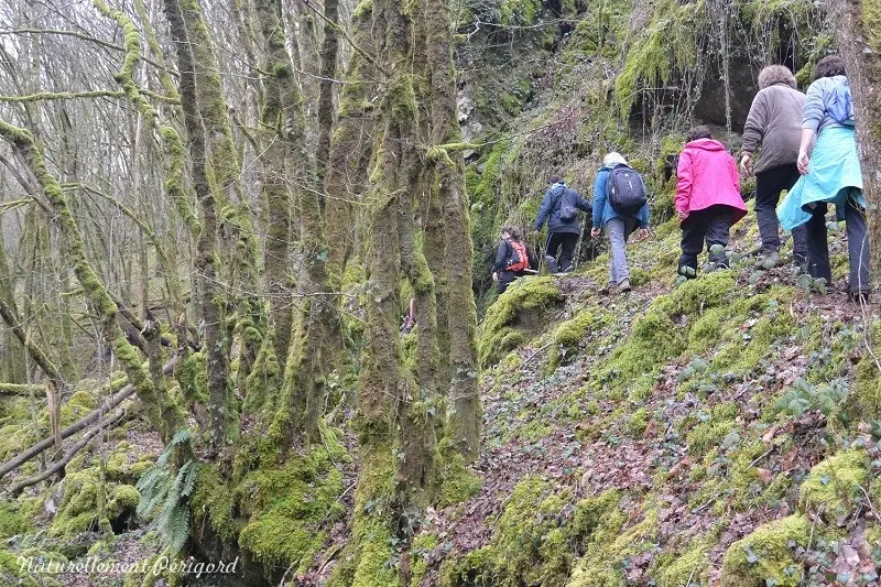 trail-rando-gorges-auvezere (5)