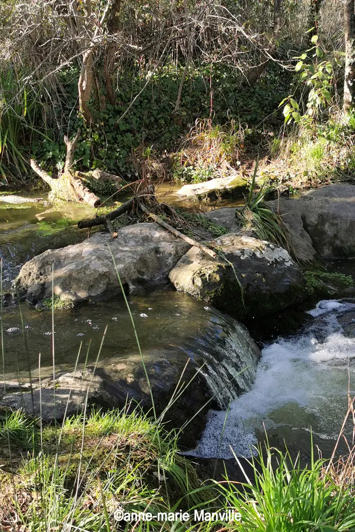 A&CC-concours photo 3 -De rus en cascadelles