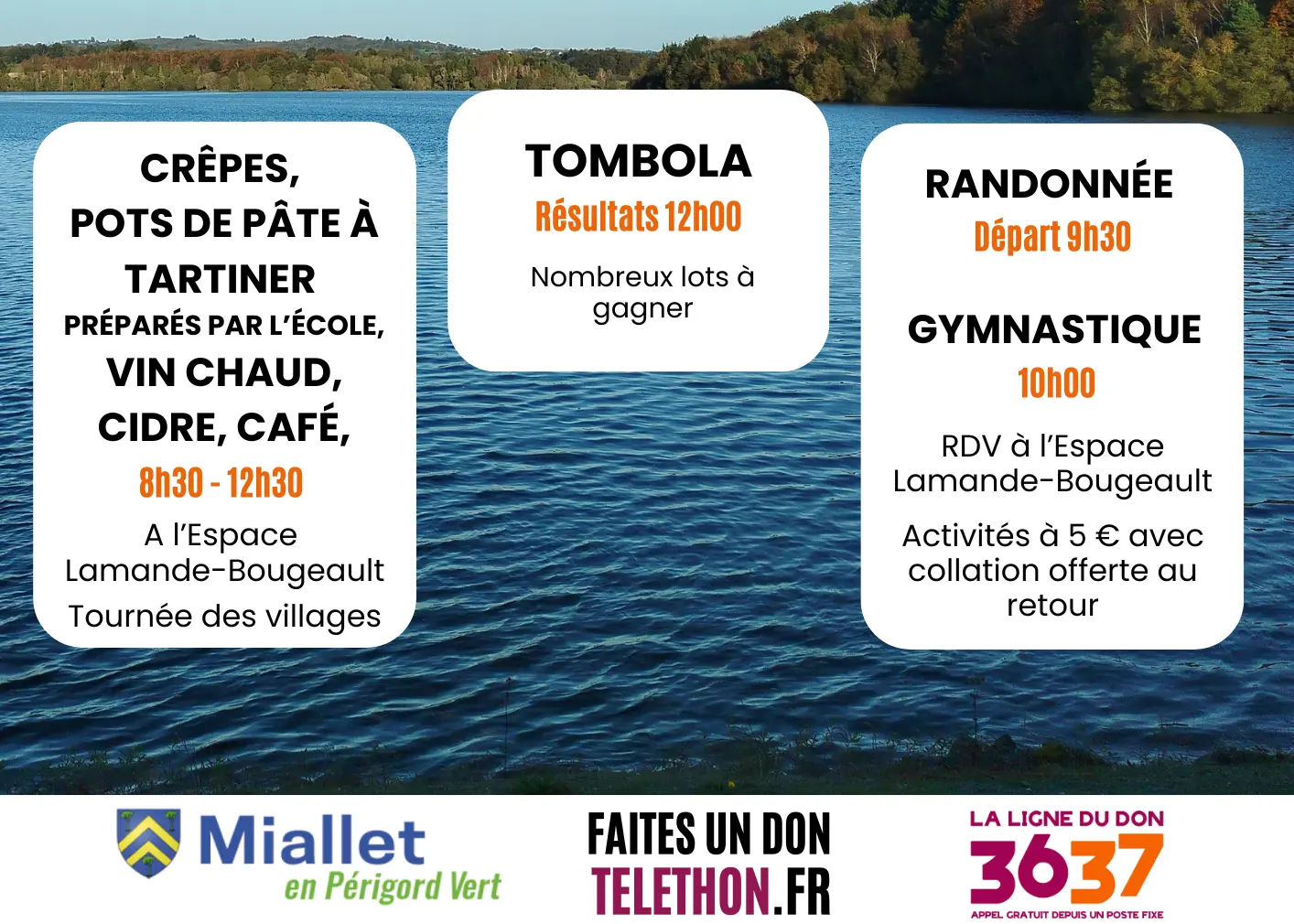 Affiche téléthon 2025 (2)