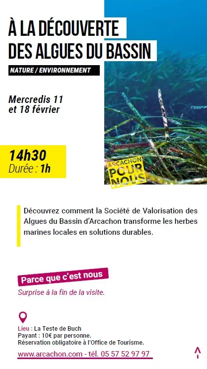 Arcachon pour nous - Algues