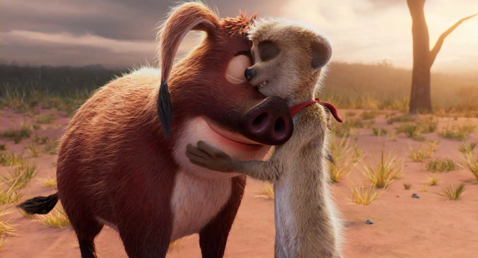 Ciné-débat Tafiti 28 JAN