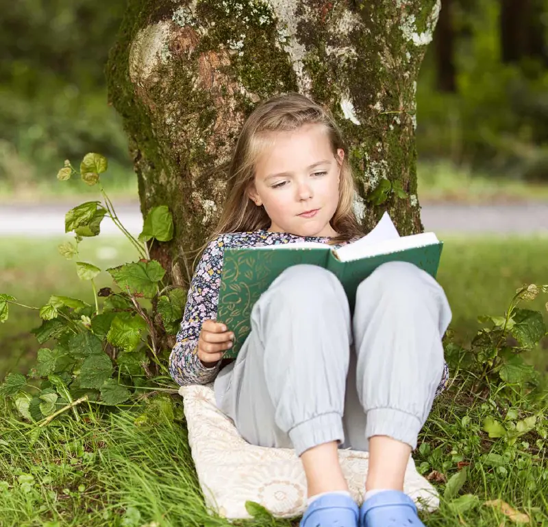 Contes du pays de buch