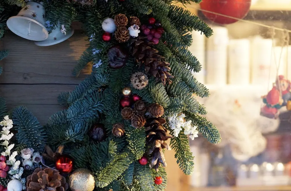 Concours vitrine (1)