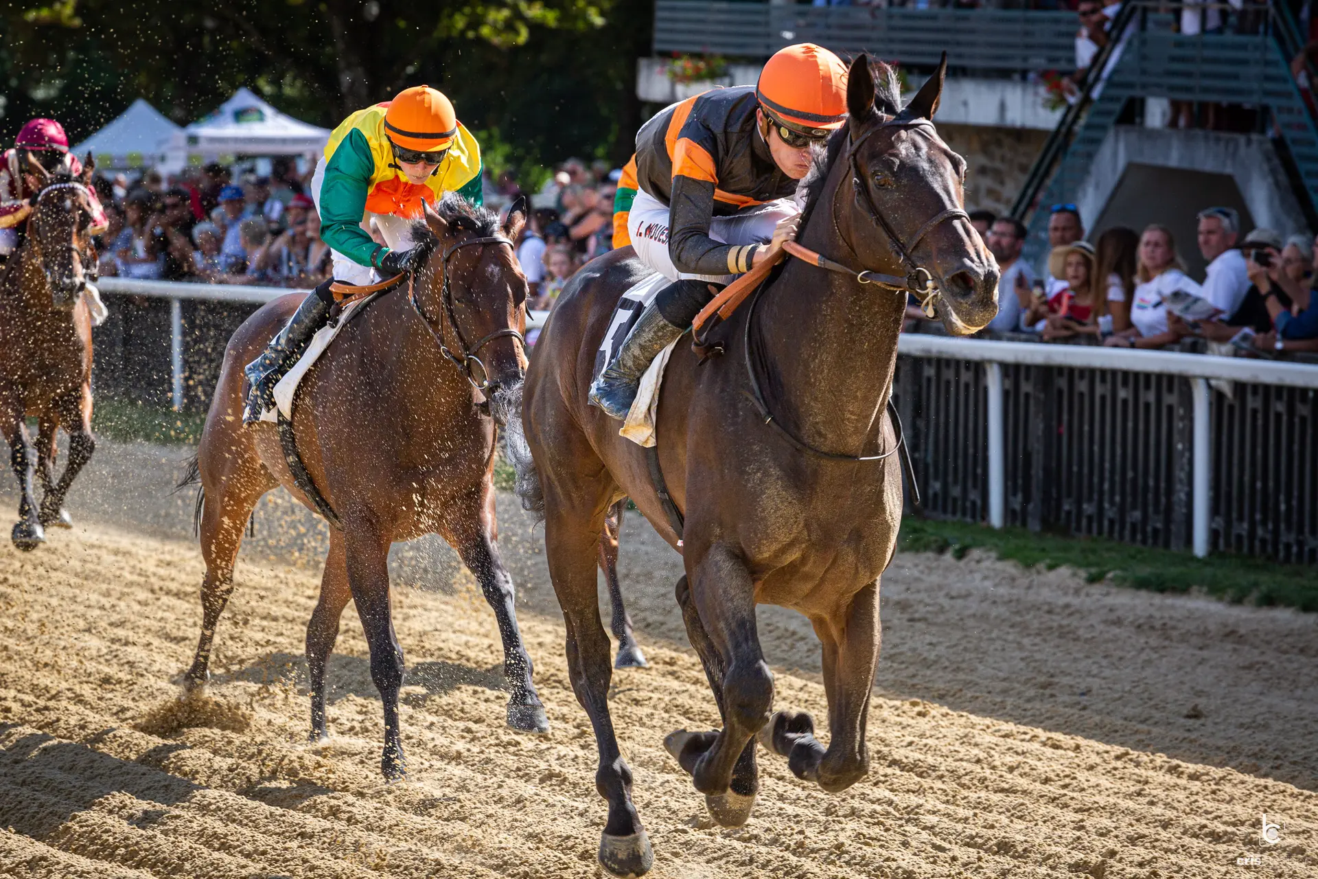 Courses hippiques - Pompadour ©Cris Bastiane - Web  (18)