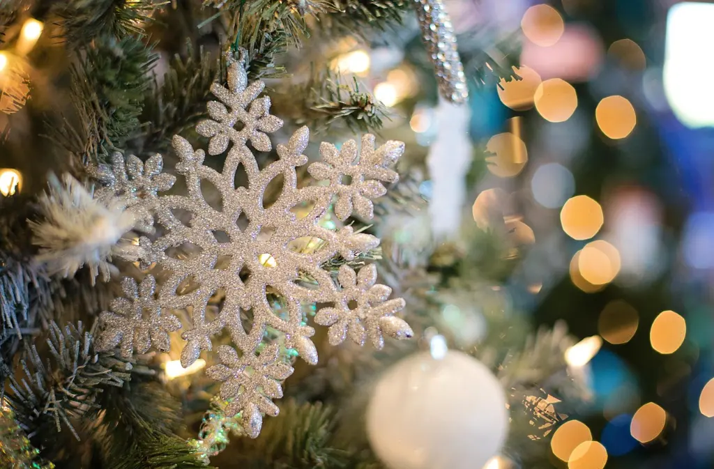 Décoration de Noël (1)