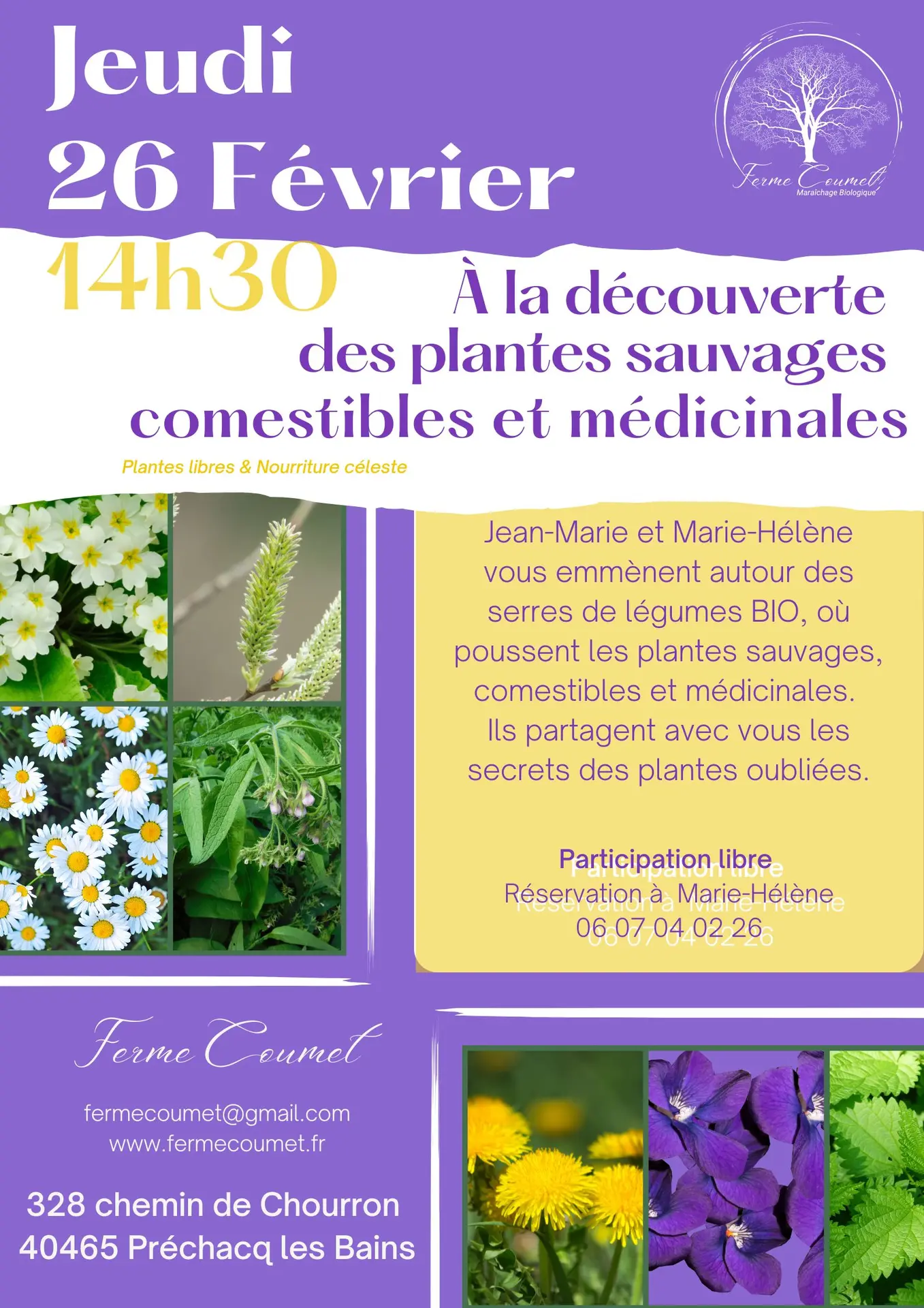 AFFICHE PLANTE SAUVAGE - fevrier