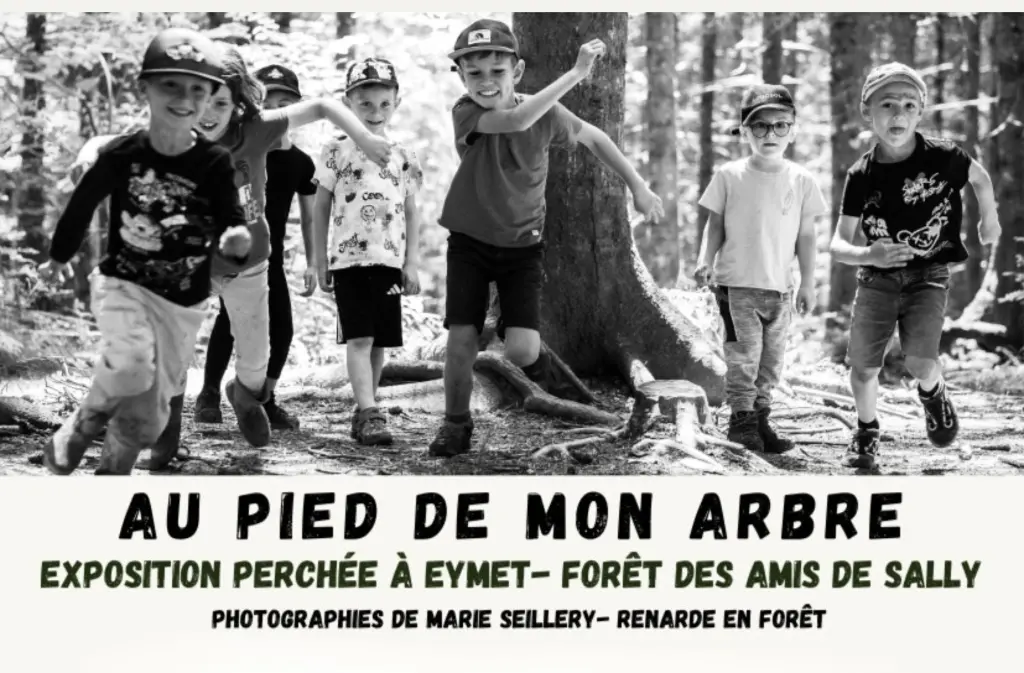 Expo Au pied de mon arbre Eymet Oct 2025 1 (1)