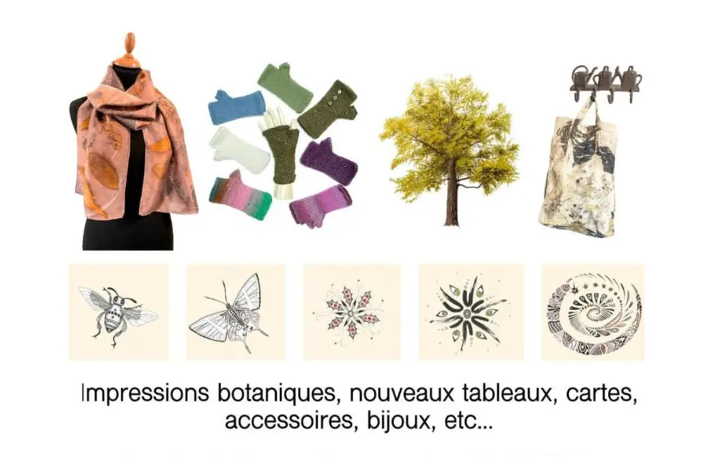 Expo Coloratura déc 25 Boisse 2 (1)