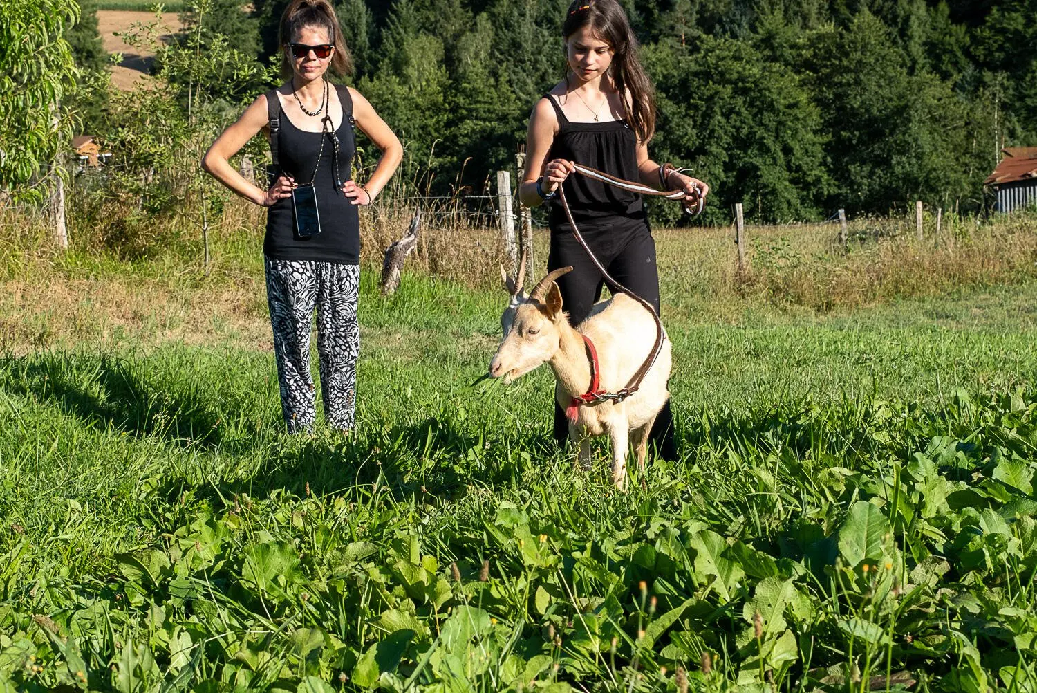 Ferme Equilibre 2024 web-6