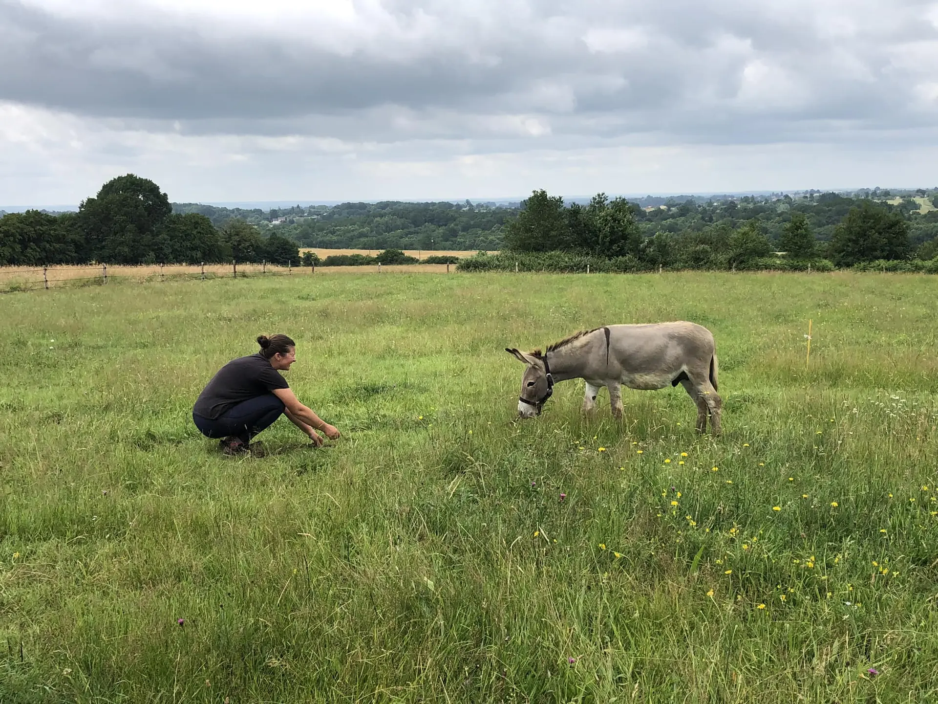 Ferme La Tuilière 04 chevaux et Laeticia