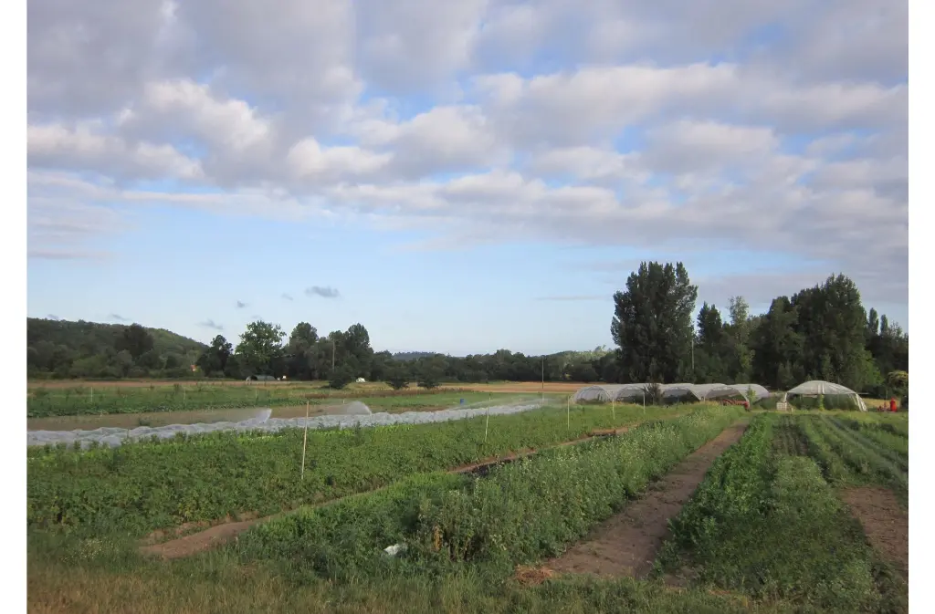 Ferme Siganen Serres et Monguyard 19 Oct 25 (1)