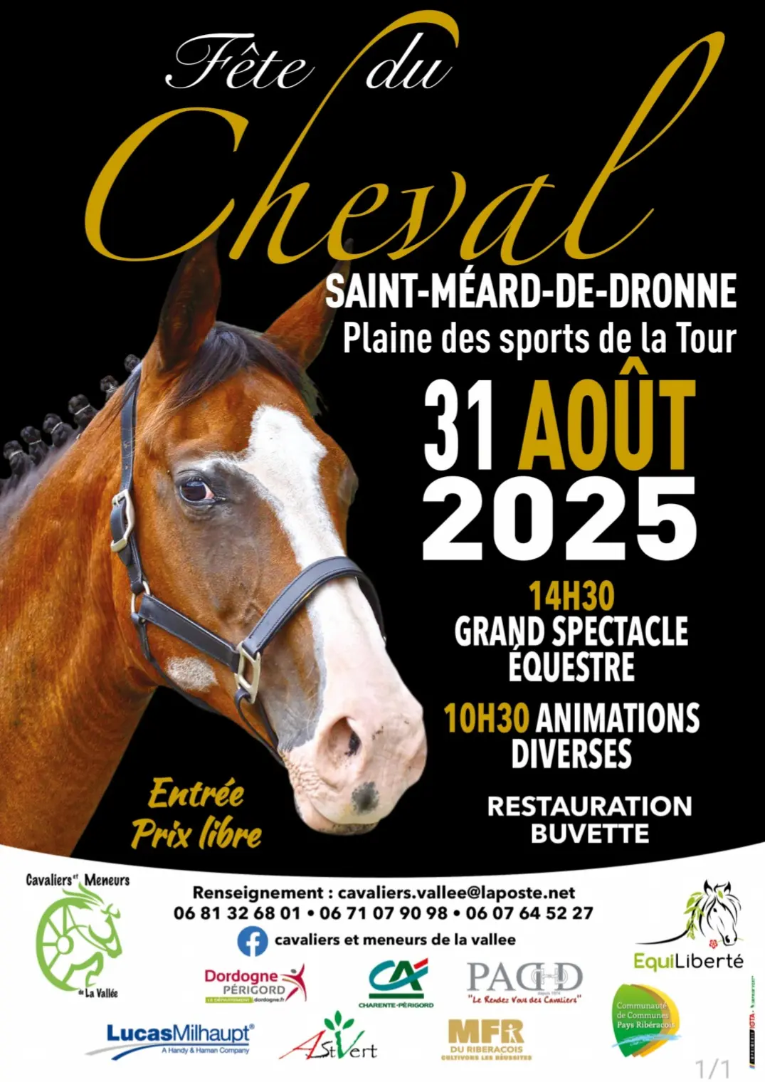 Fête du cheval Saint méard de drône