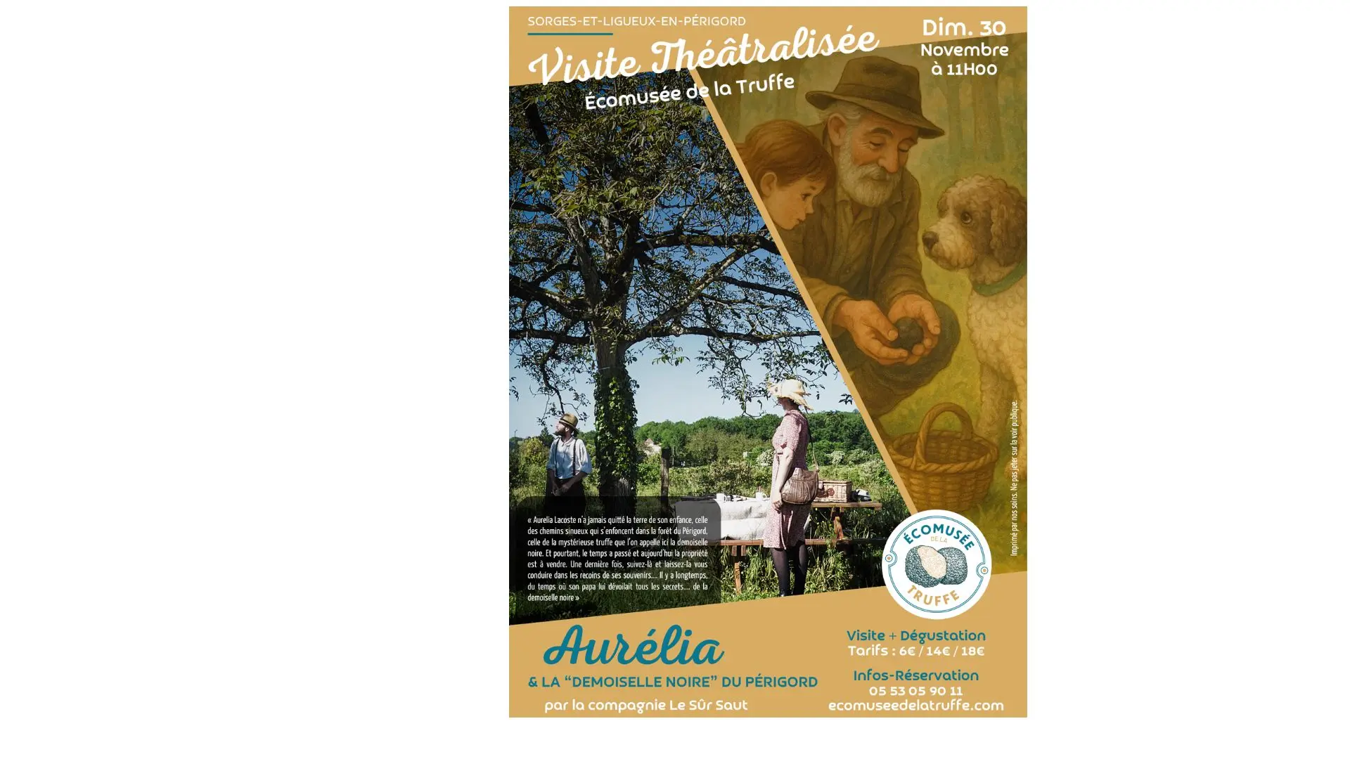 Affiche visite théatralisée