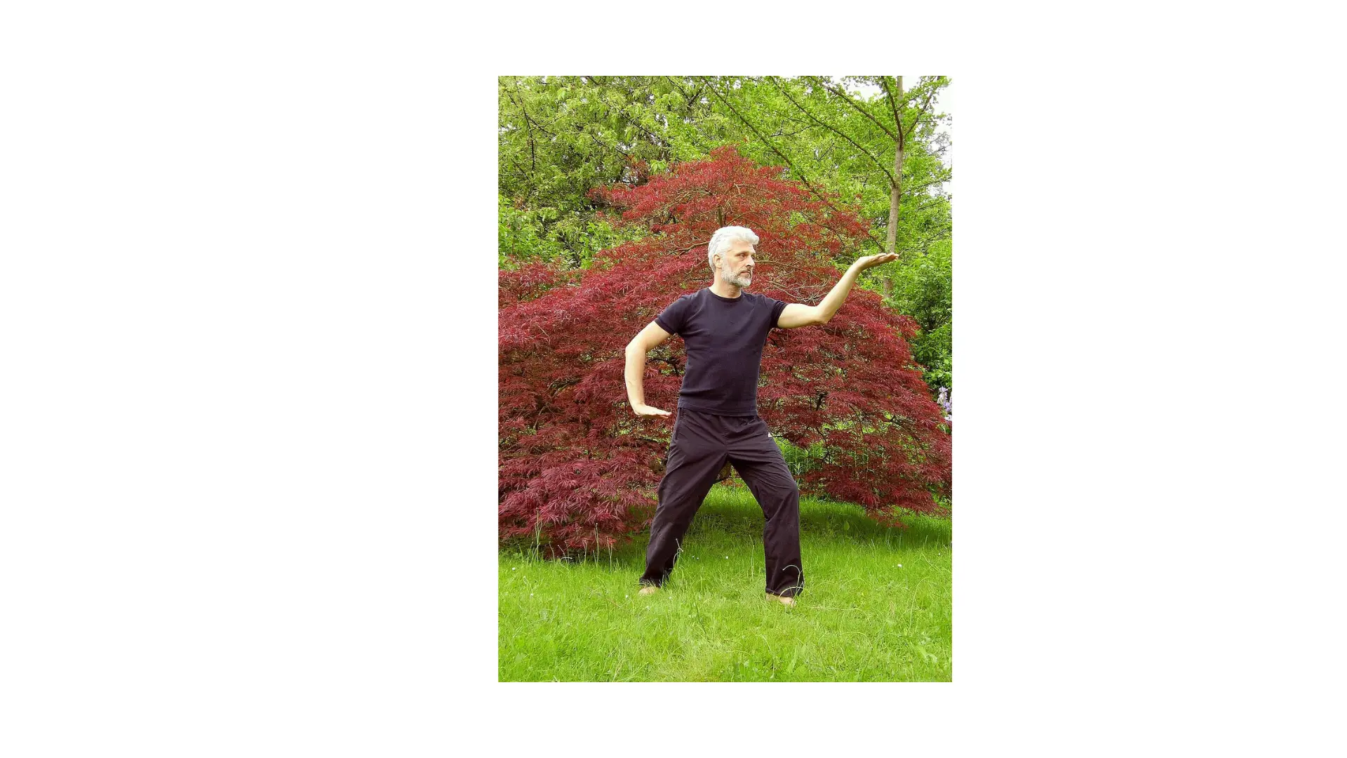 Qi Gong