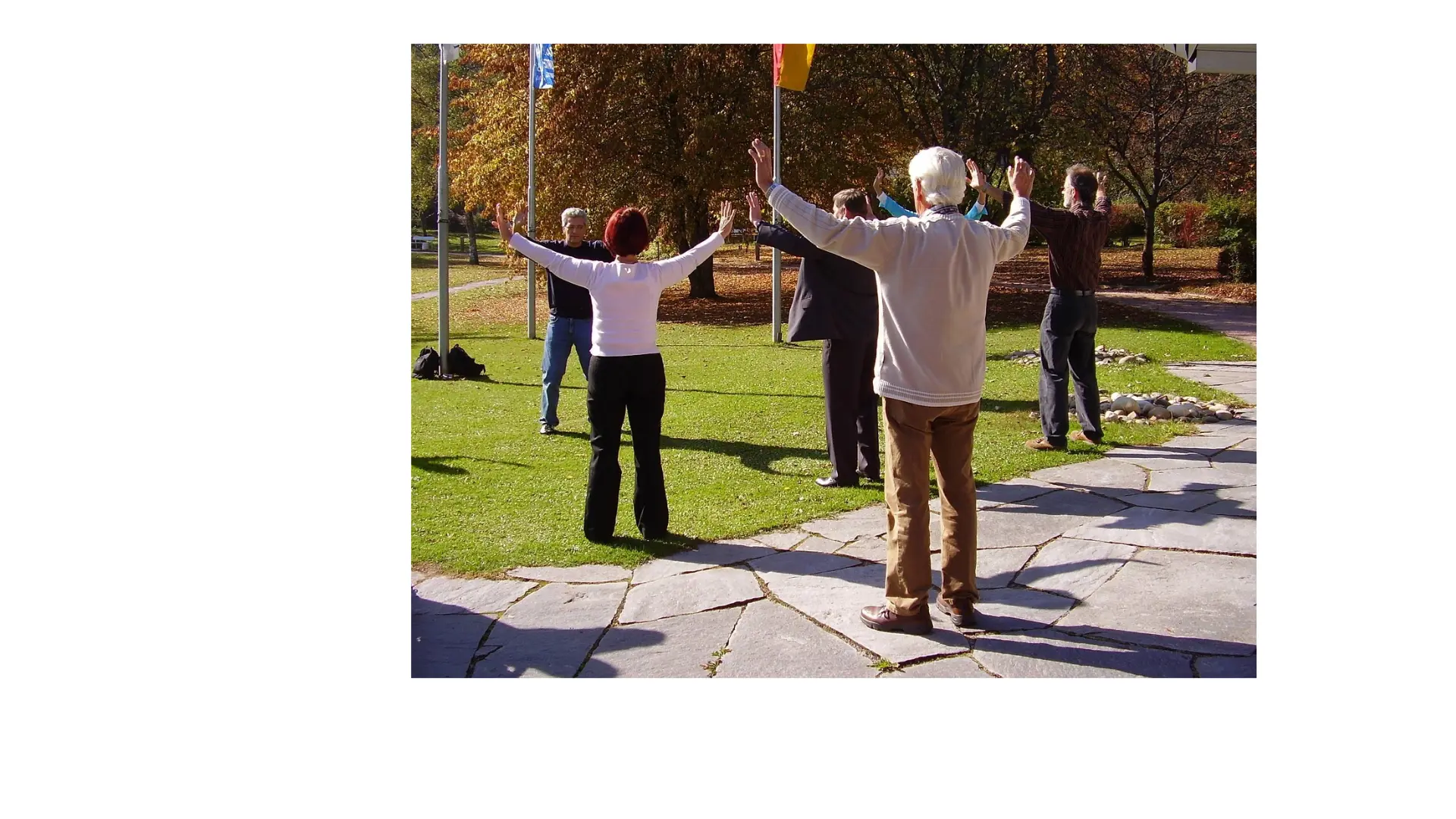 Qi Gong séance collective