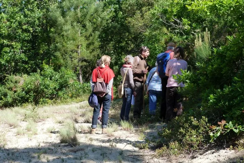 Groupe-Camicas-farfouille