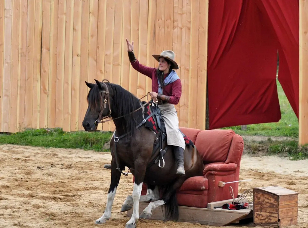 Le Haras de Valdor fête ses 10 ans !