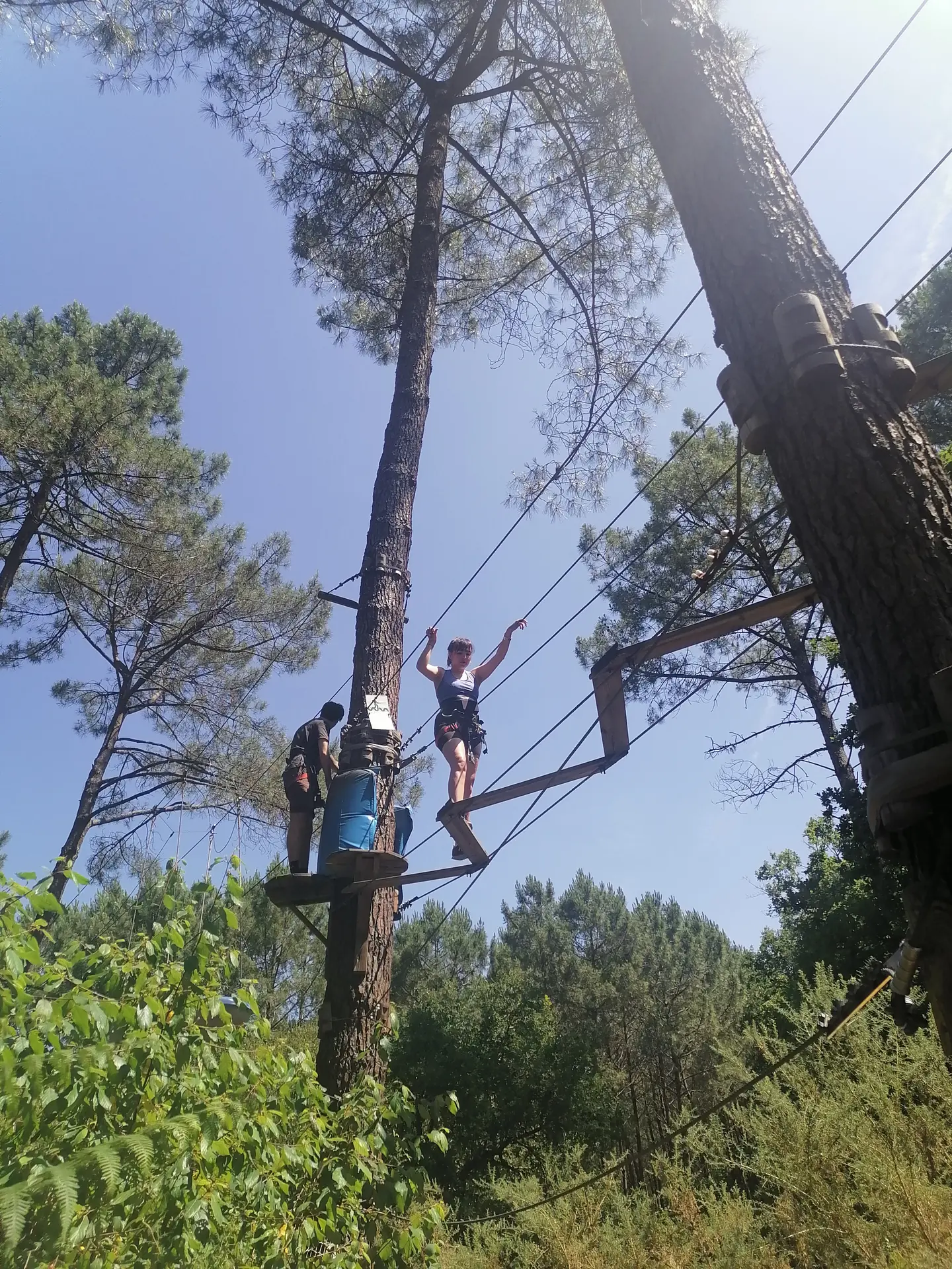 personne dans les arbres