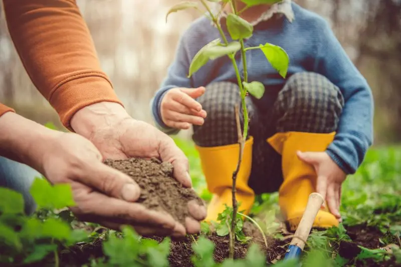 JARDIN PARTAGE DES 4 SAISONS