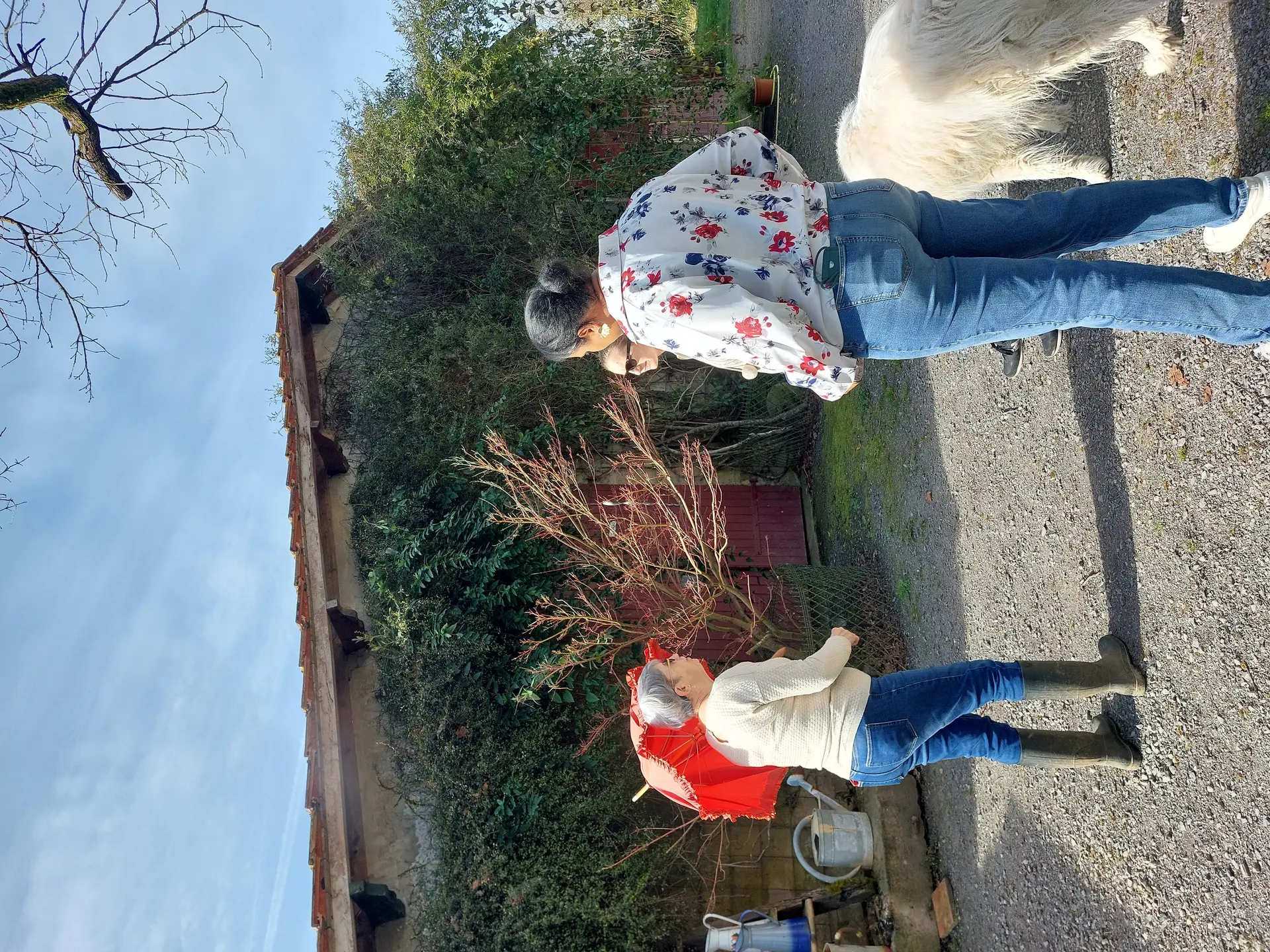Jardin de Termi (4)