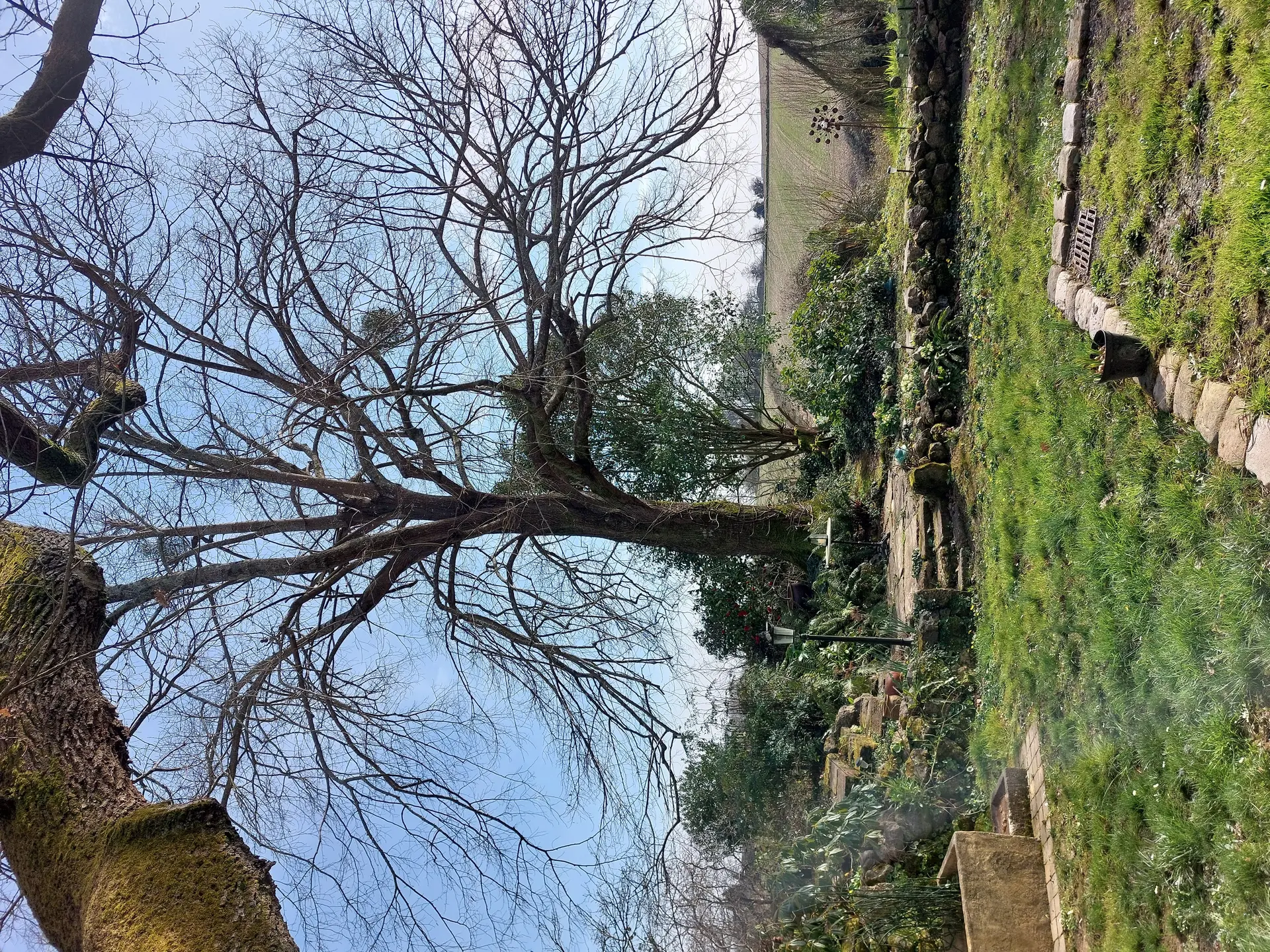 Jardin de Termi (5)