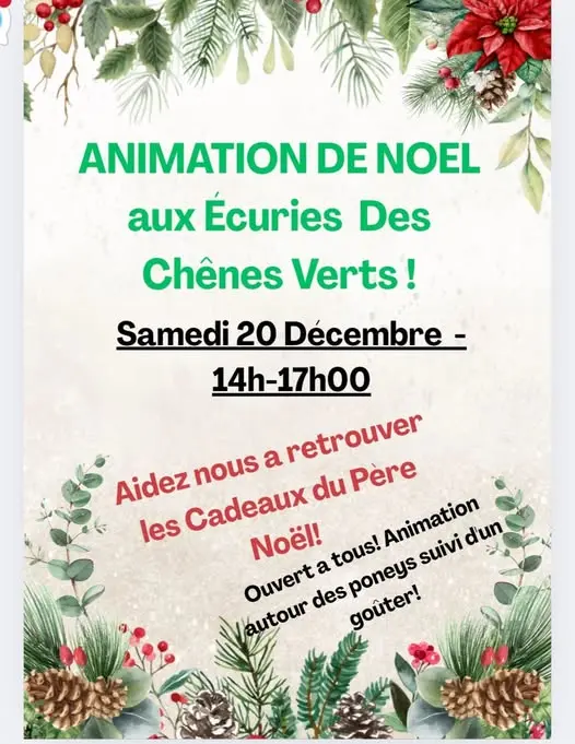 Journée Noël 20 déc