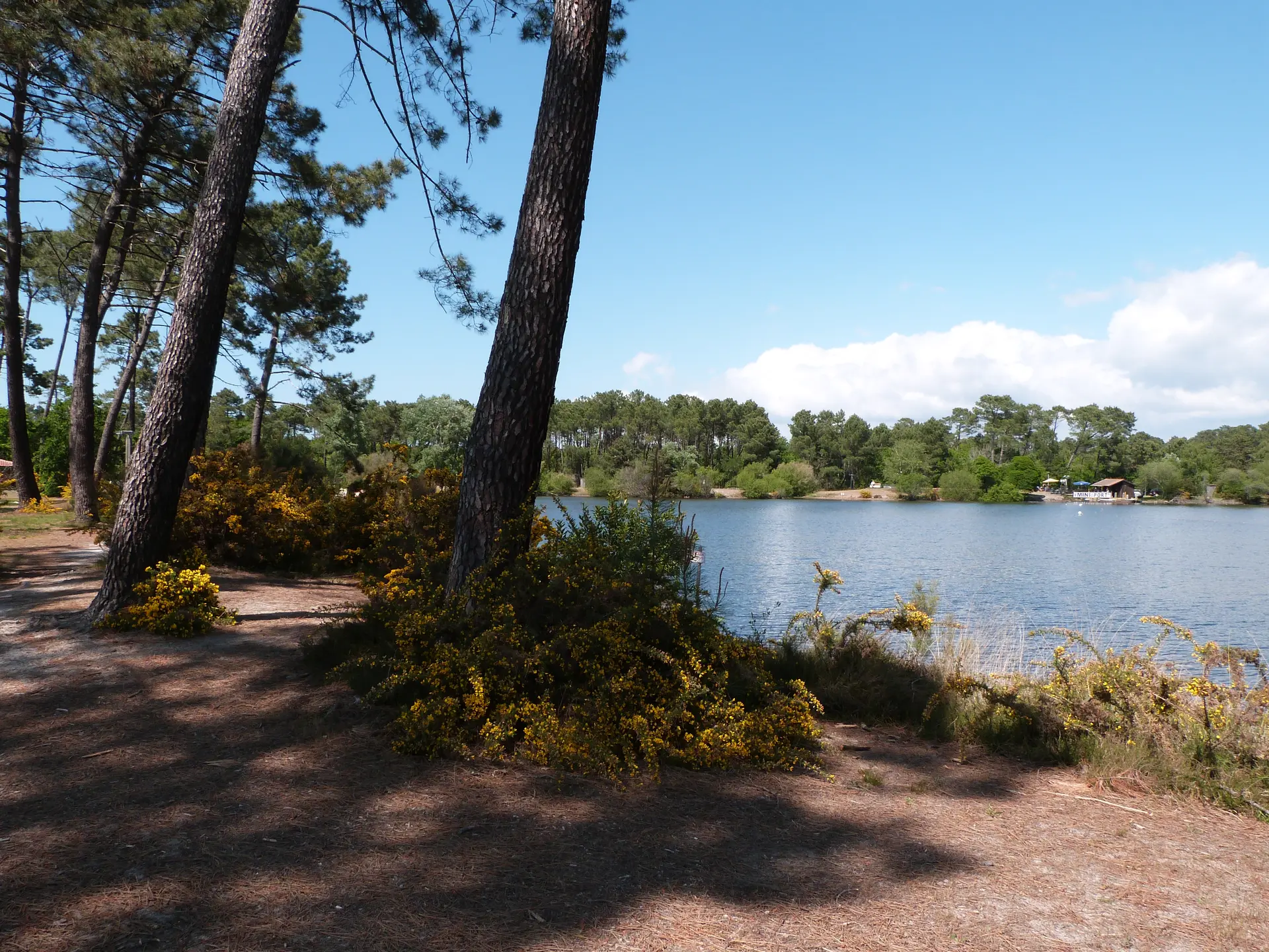 Lac de la Magdeleine (2)