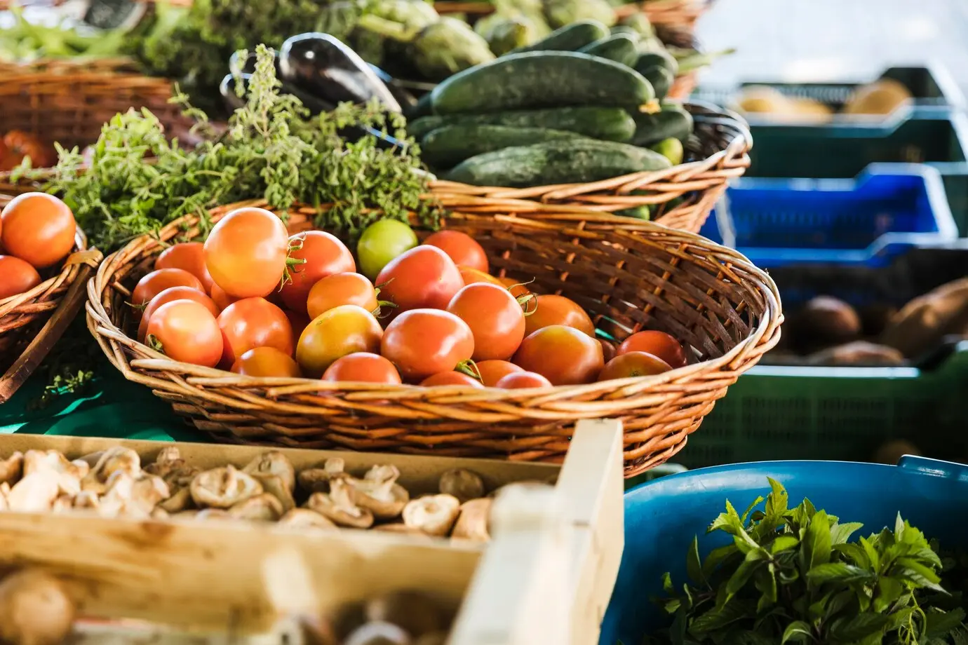 Marché été