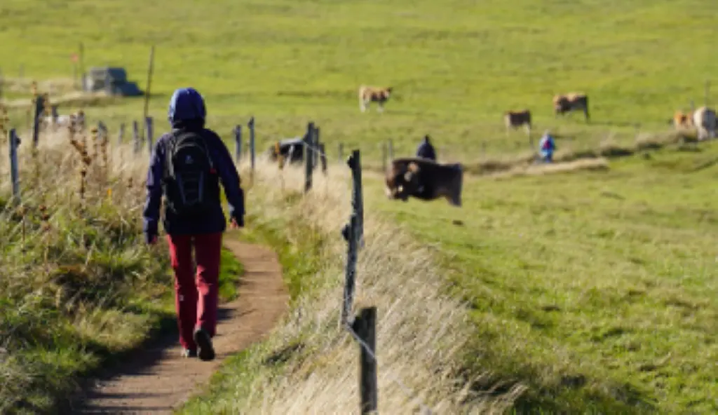 Marche téléthon cantonal