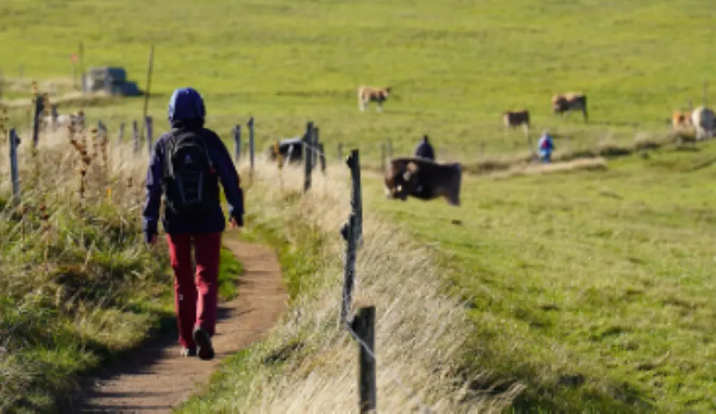 Marche téléthon cantonal