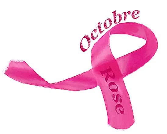 Octobre-rose-moulin-neuf-vallee-isle-dordogne-perigord