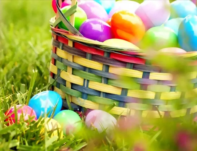 P1244656-600x460 [800x600]