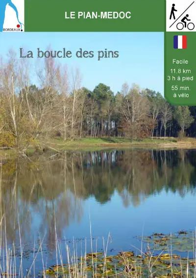 Pins pour Sirtaqui