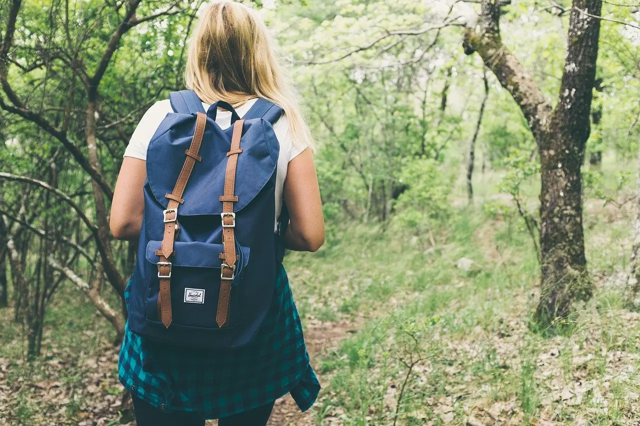 Randonnée - marche - bois - Pexels