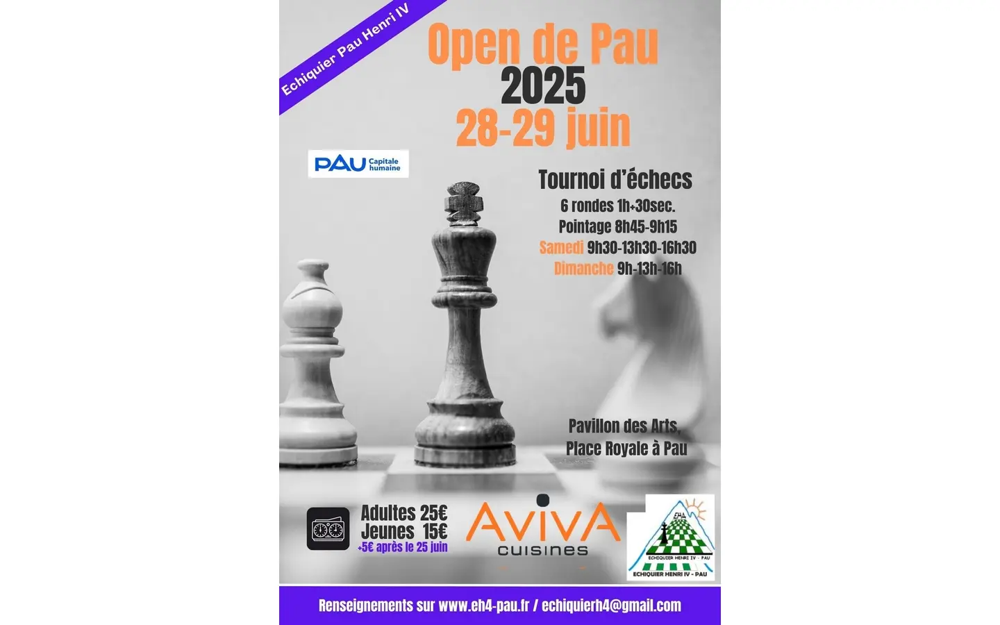 Affiche Open Pau