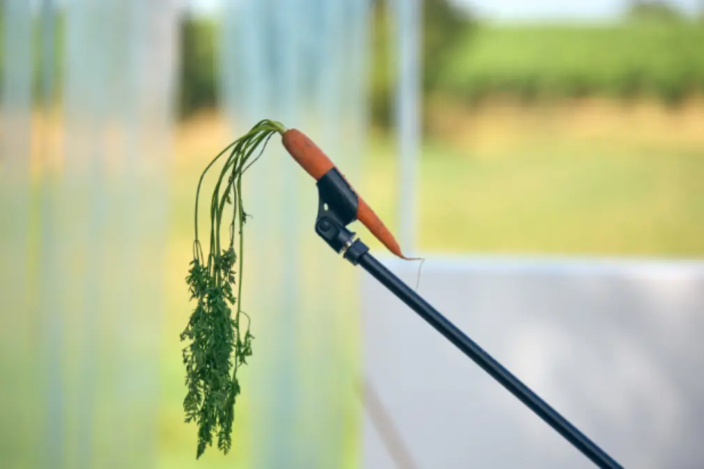 Théâtre du Roi de Coeur