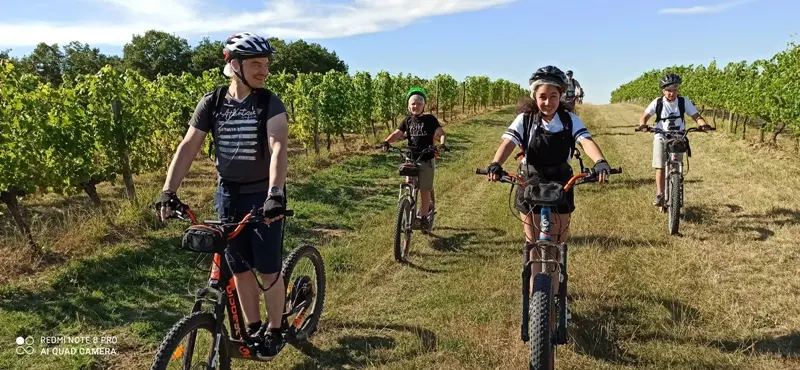 Trottinettes électriques (2)