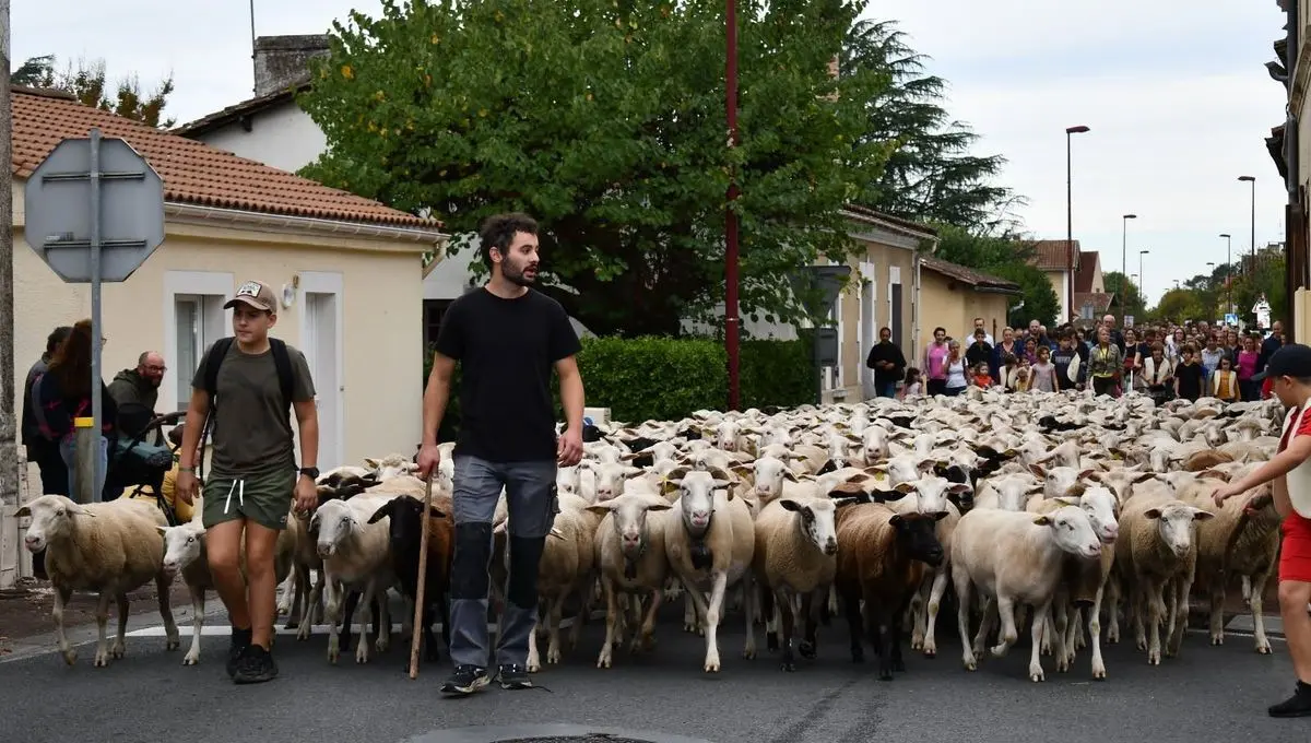 Transhumance-le-pizou(1)