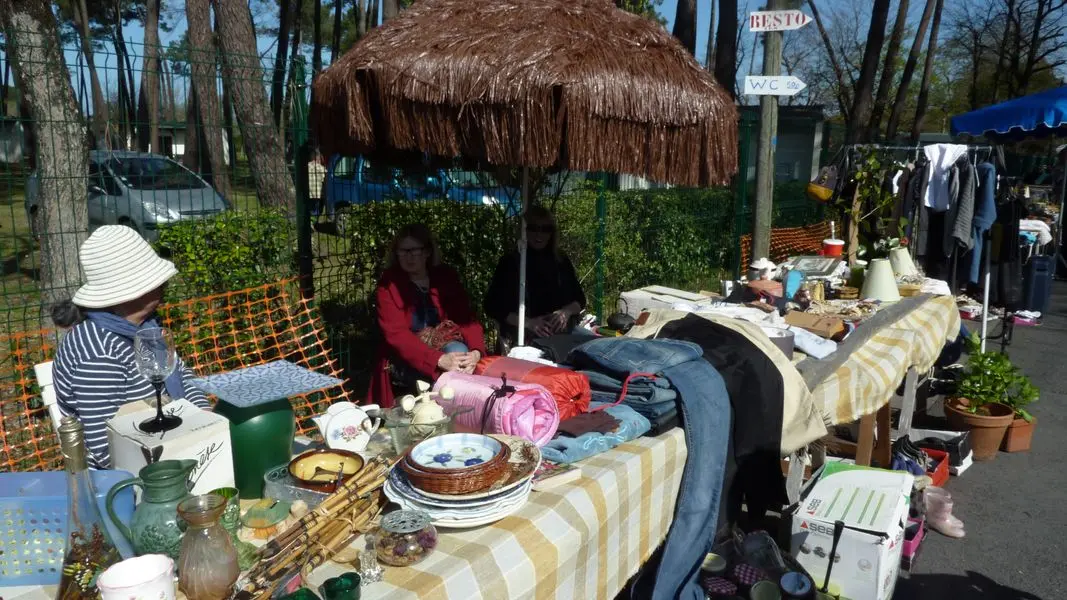 VG photo 5 [800x600]