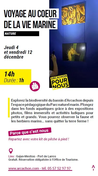Arcachon pour nous - Vie Marine