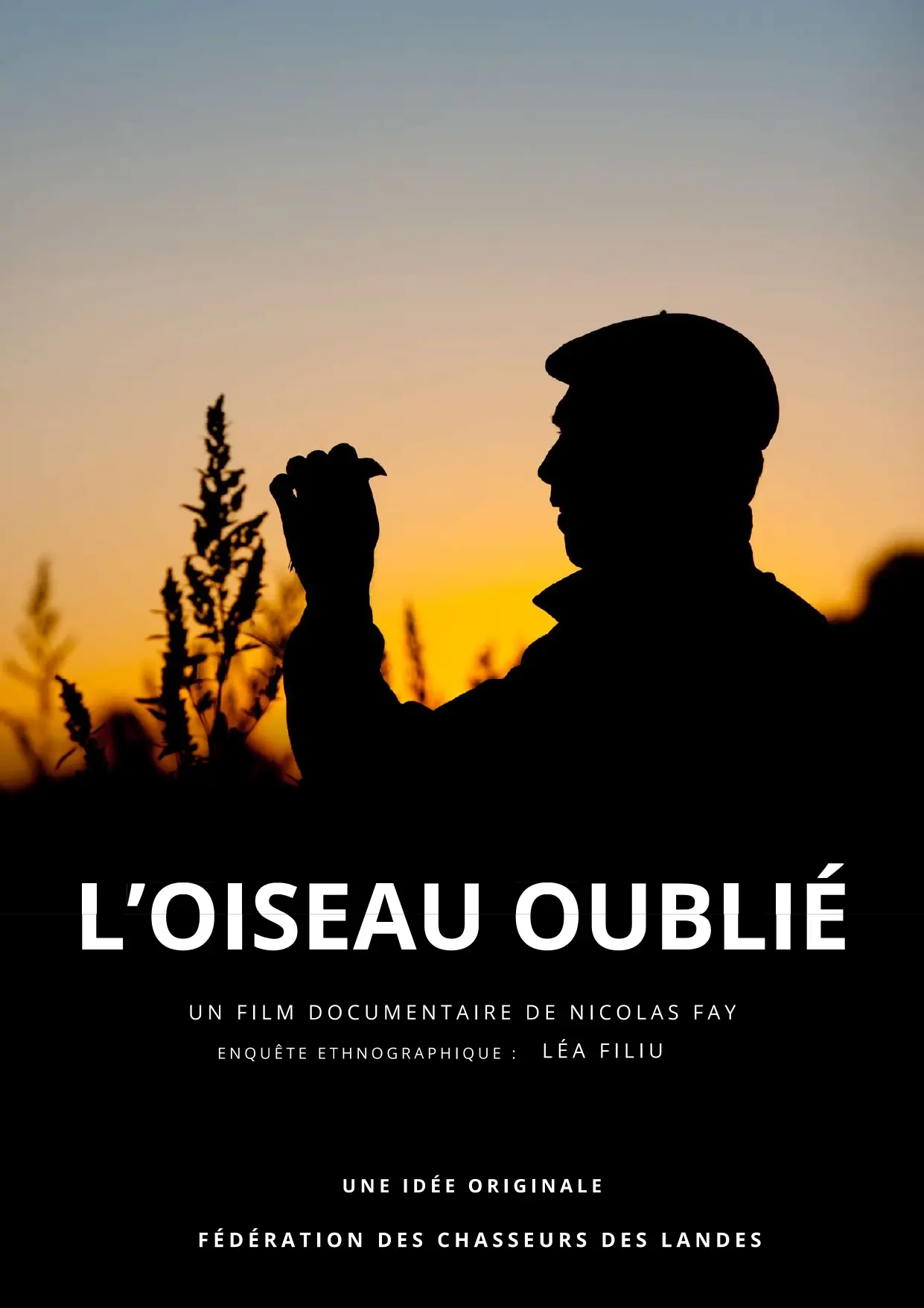 affiche-oiseau-oublie
