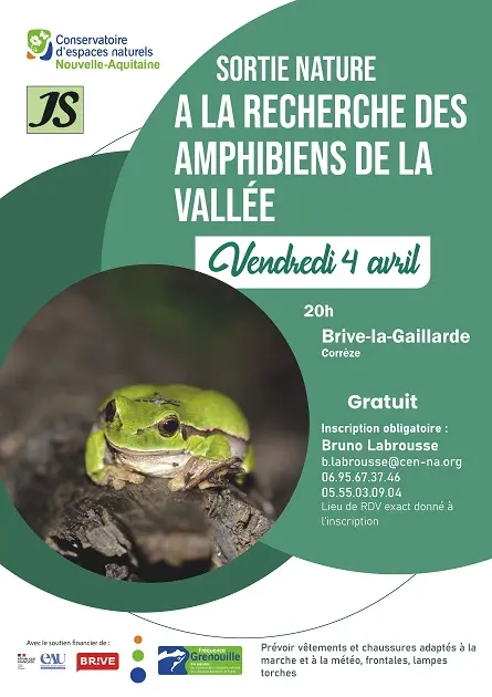 amphibiens