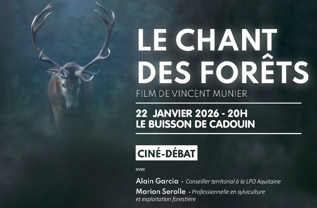 cine debat le buisson de cadouin