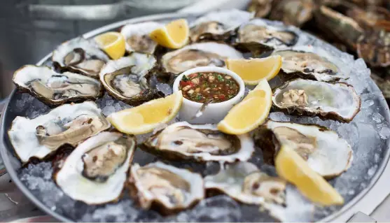 Degustation huitres