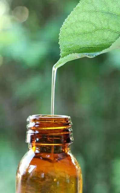 essential-oil-5982237_640