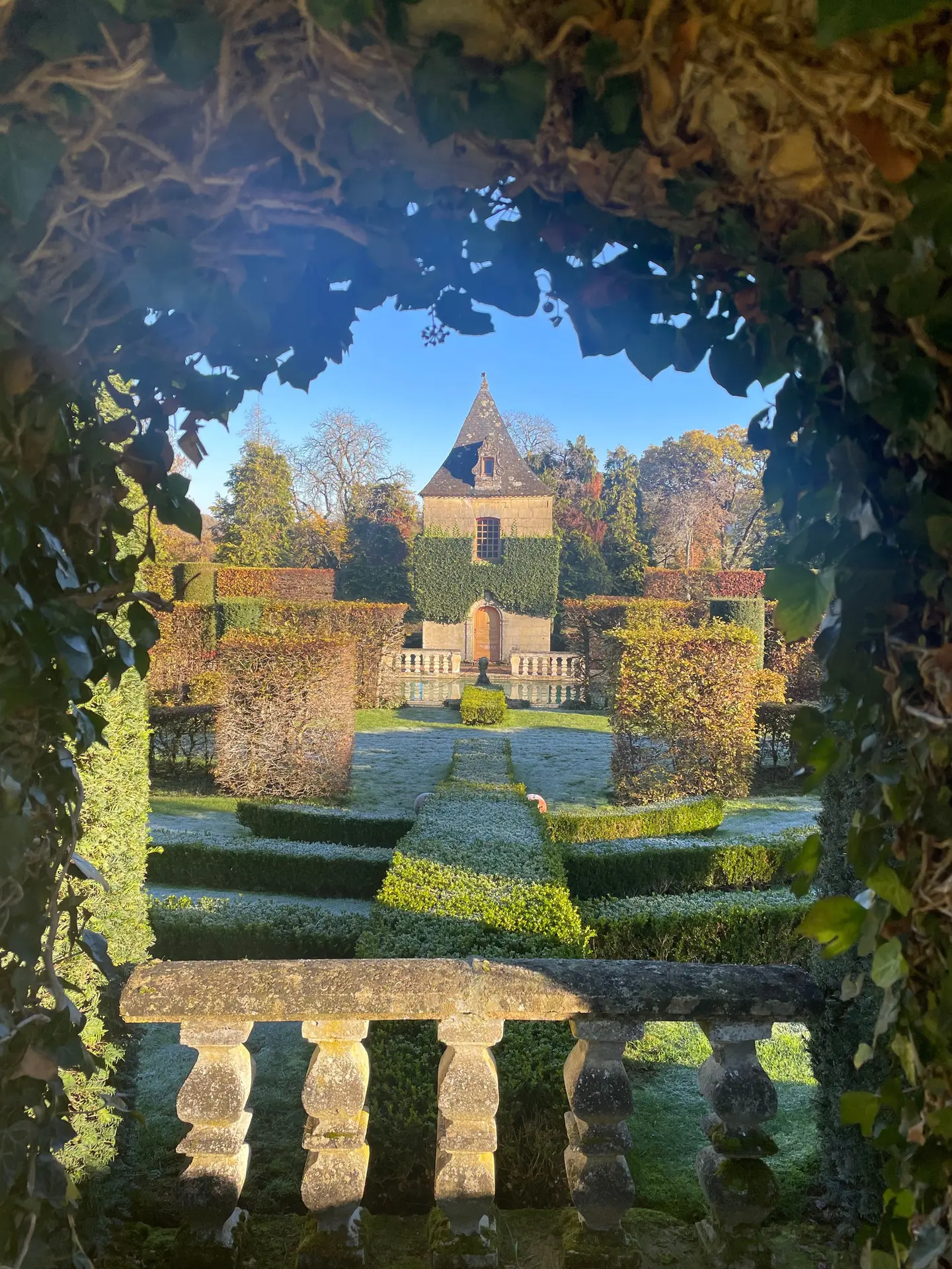 Mon petit écureuil du Jardin