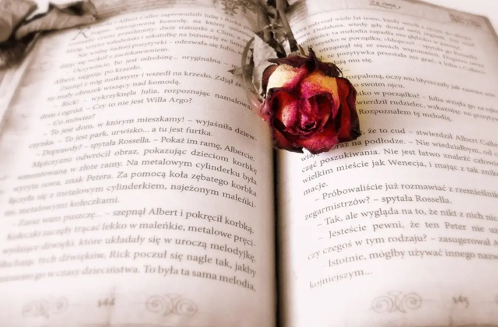 faites votre rentree litteraire