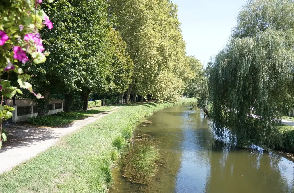 fête du canal - grand pavois