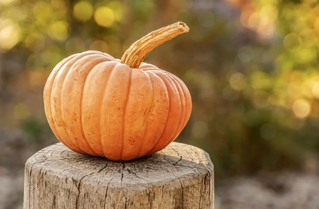 Soirée Halloween